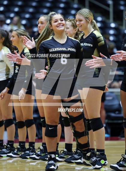 Thumbnail 3 in Gunter vs. Bushland (UIL 3A Volleyball Final) photogallery.