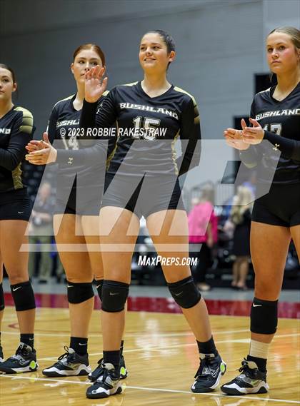 Thumbnail 3 in Gunter vs. Bushland (UIL 3A Volleyball Final) photogallery.