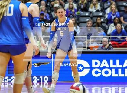Thumbnail 1 in Gunter vs. Bushland (UIL 3A Volleyball Final) photogallery.