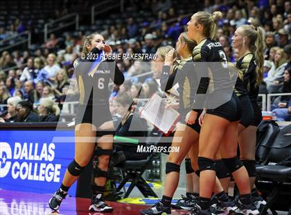 Thumbnail 3 in Gunter vs. Bushland (UIL 3A Volleyball Final) photogallery.