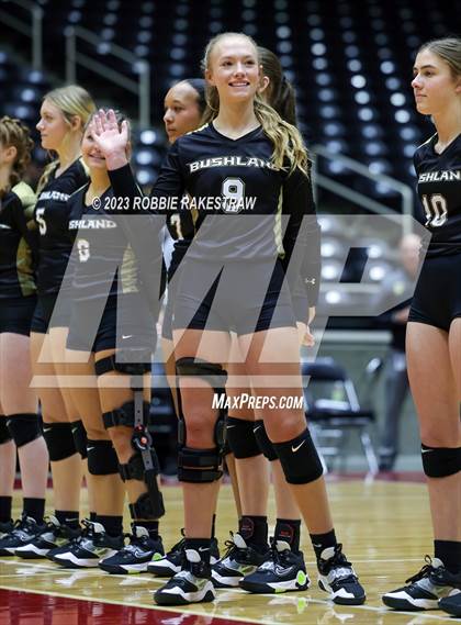 Thumbnail 3 in Gunter vs. Bushland (UIL 3A Volleyball Final) photogallery.