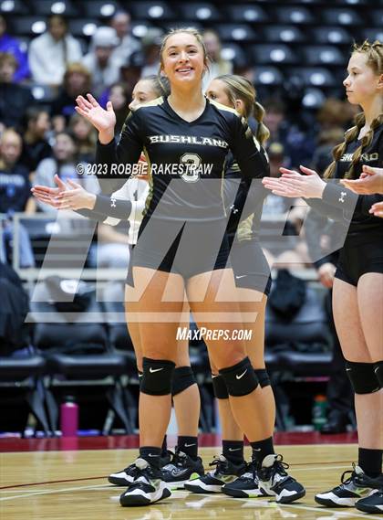 Thumbnail 3 in Gunter vs. Bushland (UIL 3A Volleyball Final) photogallery.