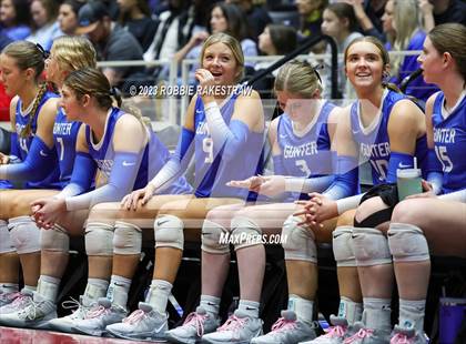 Thumbnail 3 in Gunter vs. Bushland (UIL 3A Volleyball Final) photogallery.
