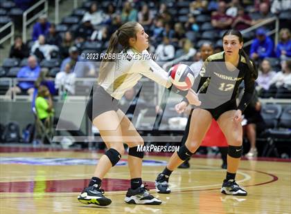 Thumbnail 3 in Gunter vs. Bushland (UIL 3A Volleyball Final) photogallery.