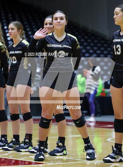 Thumbnail 3 in Gunter vs. Bushland (UIL 3A Volleyball Final) photogallery.