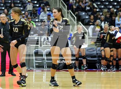 Thumbnail 3 in Gunter vs. Bushland (UIL 3A Volleyball Final) photogallery.