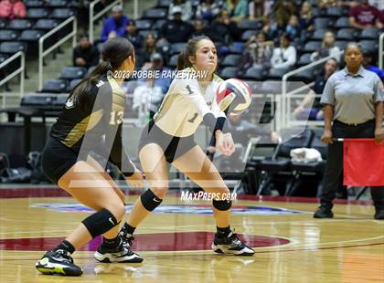 Thumbnail 3 in Gunter vs. Bushland (UIL 3A Volleyball Final) photogallery.