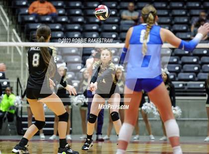 Thumbnail 3 in Gunter vs. Bushland (UIL 3A Volleyball Final) photogallery.