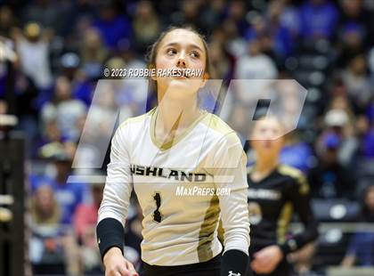 Thumbnail 3 in Gunter vs. Bushland (UIL 3A Volleyball Final) photogallery.