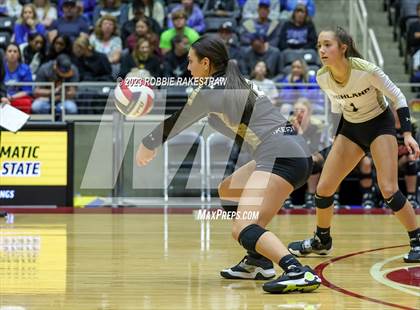 Thumbnail 2 in Gunter vs. Bushland (UIL 3A Volleyball Final) photogallery.