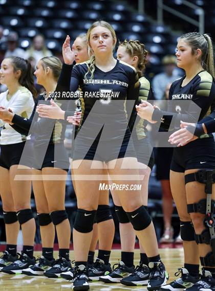 Thumbnail 2 in Gunter vs. Bushland (UIL 3A Volleyball Final) photogallery.