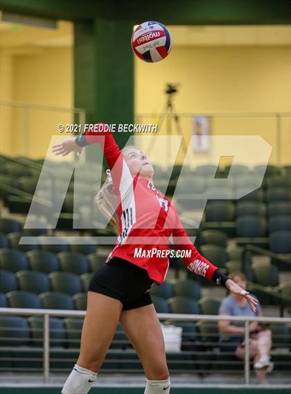 Thumbnail 3 in Lovejoy @ Prosper photogallery.