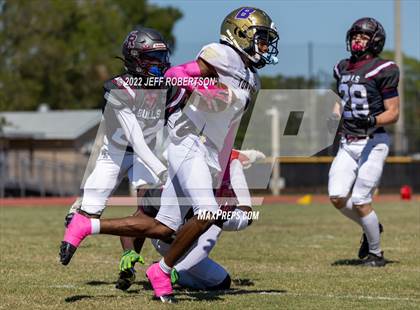 Thumbnail 3 in Wiregrass Ranch @ Booker photogallery.