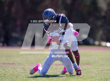 Thumbnail 2 in Wiregrass Ranch @ Booker photogallery.