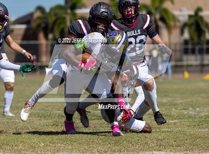 Thumbnail 1 in Wiregrass Ranch @ Booker photogallery.