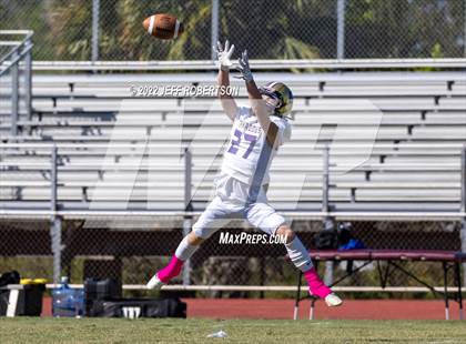 Thumbnail 2 in Wiregrass Ranch @ Booker photogallery.