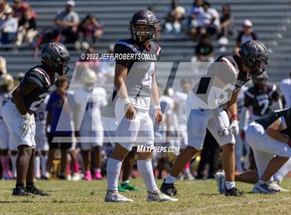 Thumbnail 2 in Wiregrass Ranch @ Booker photogallery.