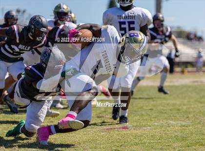 Thumbnail 2 in Wiregrass Ranch @ Booker photogallery.