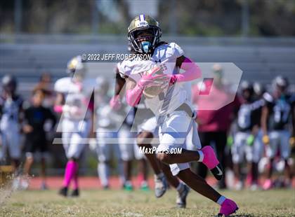 Thumbnail 3 in Wiregrass Ranch @ Booker photogallery.