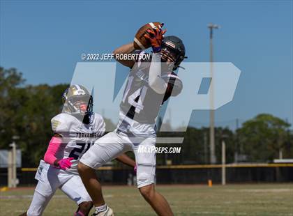 Thumbnail 2 in Wiregrass Ranch @ Booker photogallery.