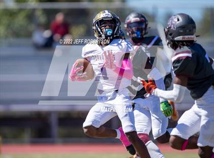 Thumbnail 3 in Wiregrass Ranch @ Booker photogallery.