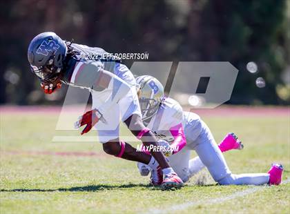 Thumbnail 3 in Wiregrass Ranch @ Booker photogallery.