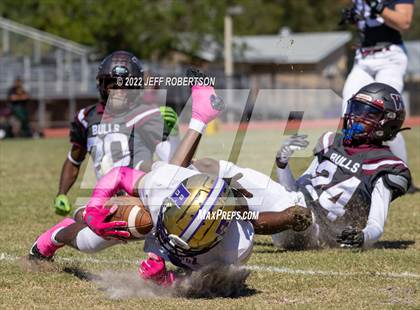 Thumbnail 2 in Wiregrass Ranch @ Booker photogallery.