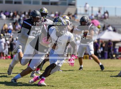 Thumbnail 3 in Wiregrass Ranch @ Booker photogallery.