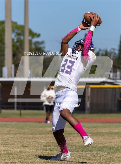 Thumbnail 2 in Wiregrass Ranch @ Booker photogallery.