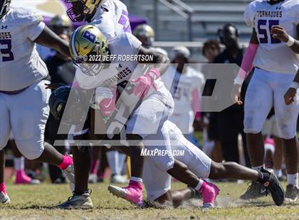 Thumbnail 2 in Wiregrass Ranch @ Booker photogallery.