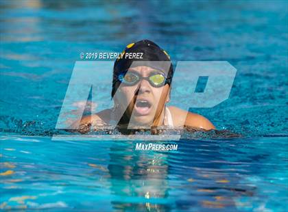 Thumbnail 1 in Knight @ Quartz Hill photogallery.