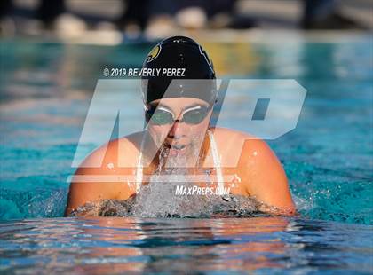 Thumbnail 1 in Knight @ Quartz Hill photogallery.