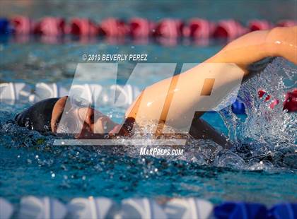 Thumbnail 2 in Knight @ Quartz Hill photogallery.
