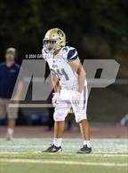 Photo from the gallery "Napa @ Casa Grande"