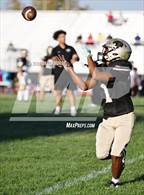 Photo from the gallery "San Marcos @ Knight"