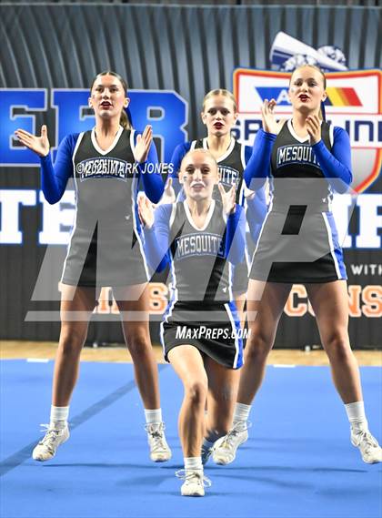 Thumbnail 3 in Mesquite - Stunt Game Day Championships (AIA Division III) photogallery.