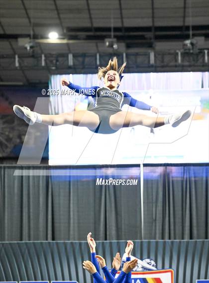 Thumbnail 2 in Mesquite - Stunt Game Day Championships (AIA Division III) photogallery.