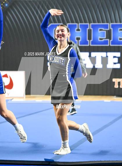 Thumbnail 3 in Mesquite - Stunt Game Day Championships (AIA Division III) photogallery.