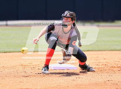 Thumbnail 3 in Piedmont vs. Orange (NCHSAA 3A Final Game 2) photogallery.