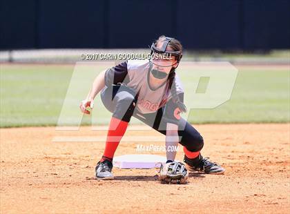 Thumbnail 1 in Piedmont vs. Orange (NCHSAA 3A Final Game 2) photogallery.