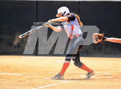 Thumbnail 2 in Piedmont vs. Orange (NCHSAA 3A Final Game 2) photogallery.