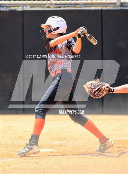 Thumbnail 1 in Piedmont vs. Orange (NCHSAA 3A Final Game 2) photogallery.