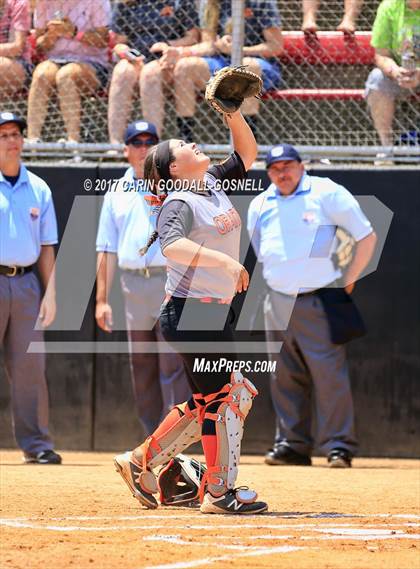 Thumbnail 2 in Piedmont vs. Orange (NCHSAA 3A Final Game 2) photogallery.