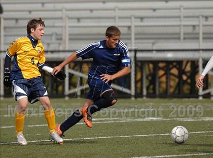Thumbnail 2 in Ansonia @ Kennedy photogallery.