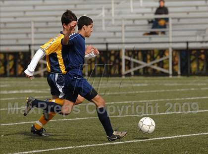 Thumbnail 2 in Ansonia @ Kennedy photogallery.