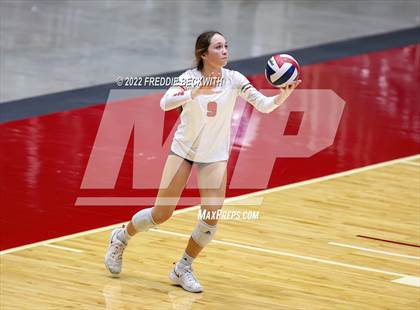Thumbnail 1 in The Woodlands vs. Dripping Springs (UIL 6A Semifinal) photogallery.
