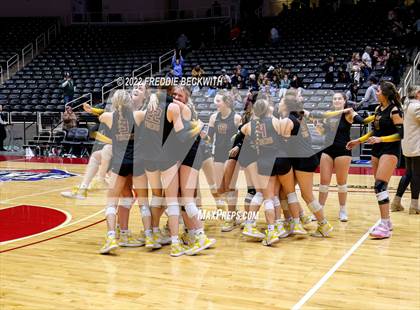 Thumbnail 3 in The Woodlands vs. Dripping Springs (UIL 6A Semifinal) photogallery.