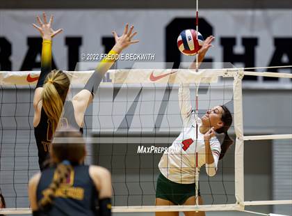 Thumbnail 3 in The Woodlands vs. Dripping Springs (UIL 6A Semifinal) photogallery.
