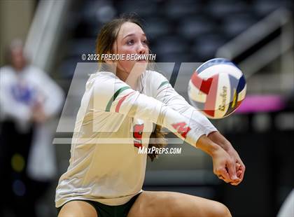 Thumbnail 2 in The Woodlands vs. Dripping Springs (UIL 6A Semifinal) photogallery.