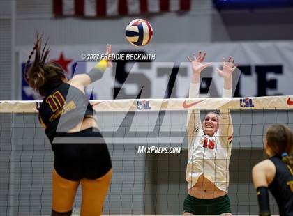 Thumbnail 3 in The Woodlands vs. Dripping Springs (UIL 6A Semifinal) photogallery.